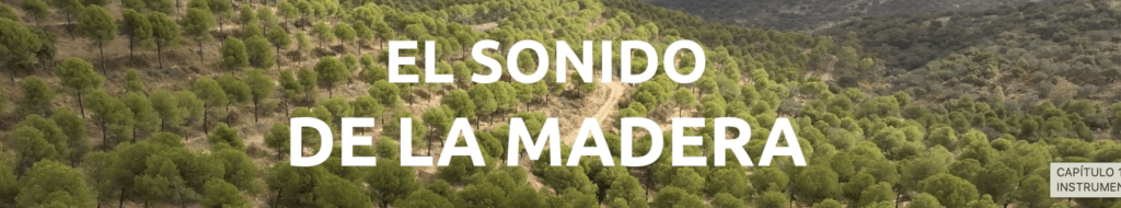 EL SONIDO DE LA MADERA