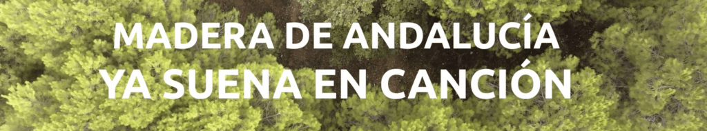 MADERA DE ANDALUCÍA YA SUENA EN CANCIÓN