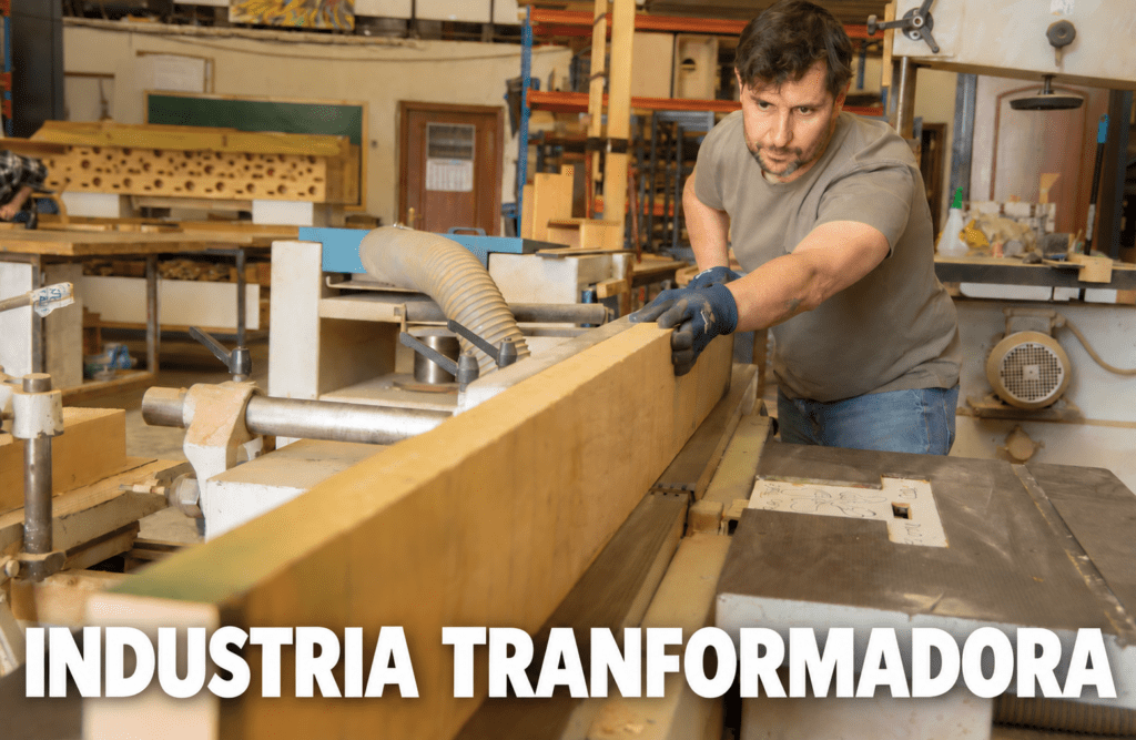 INDUSTRIA TRANSFORMADORA