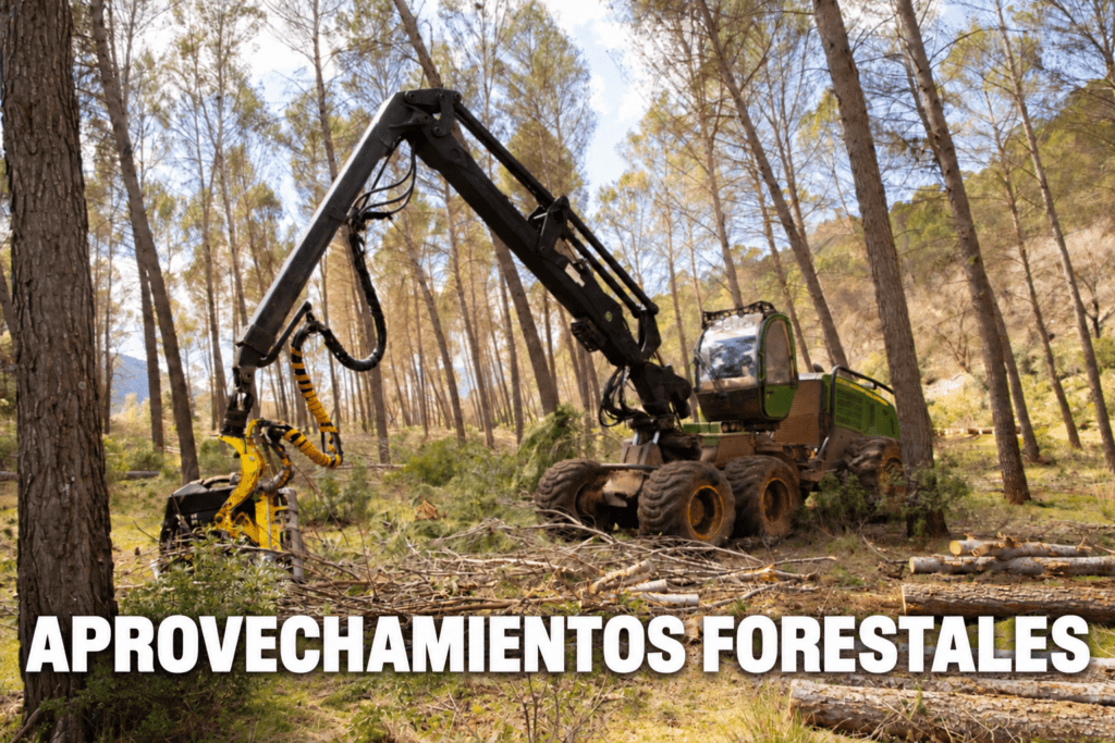 APROVECHAMIENTOS FORESTALES Y TRANSPORTE